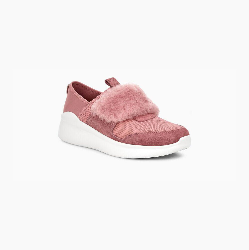 UGG Pico Pink Sneakers for Women (FRDY24957)